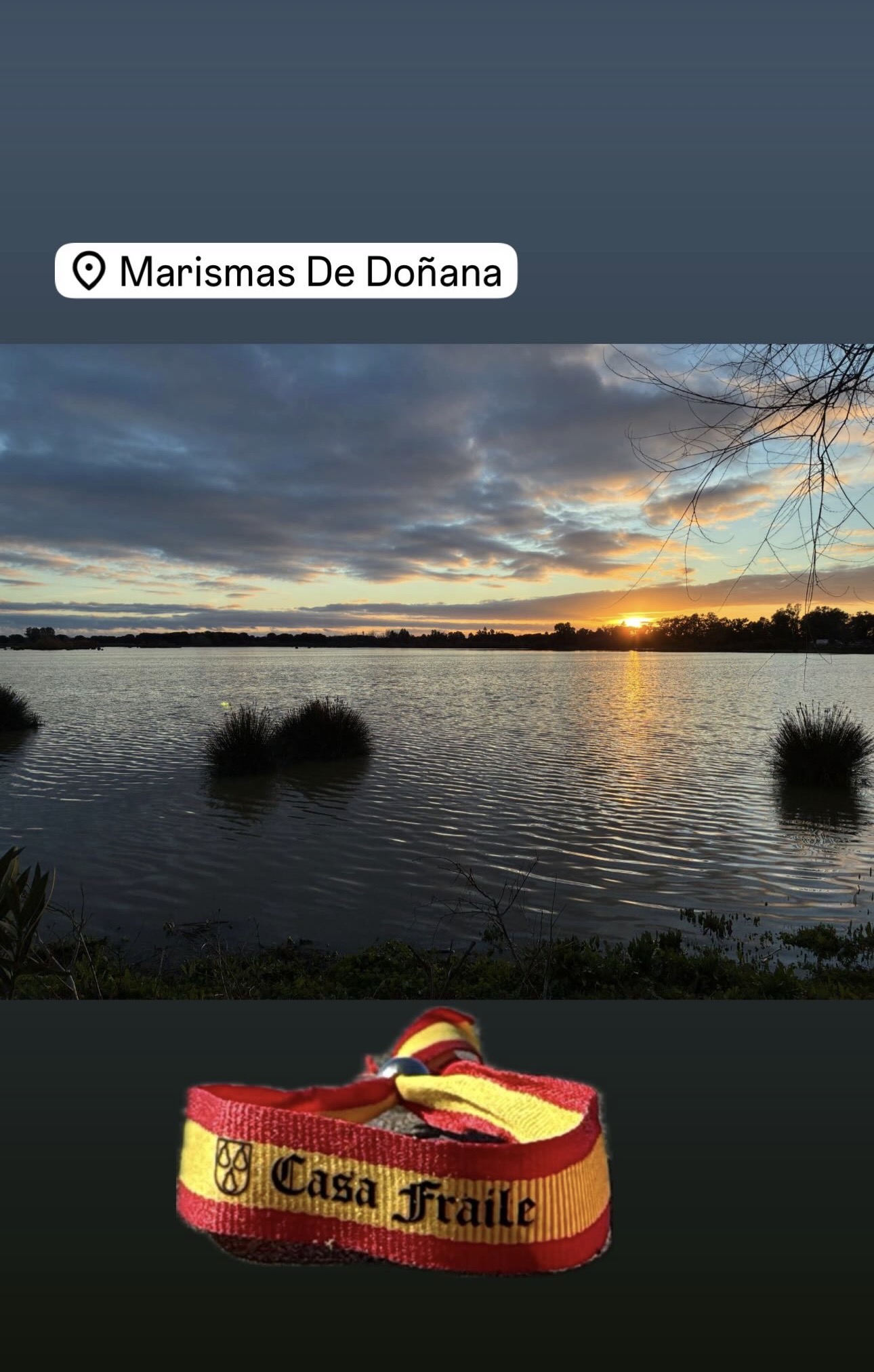 Marismas de Doñana, España